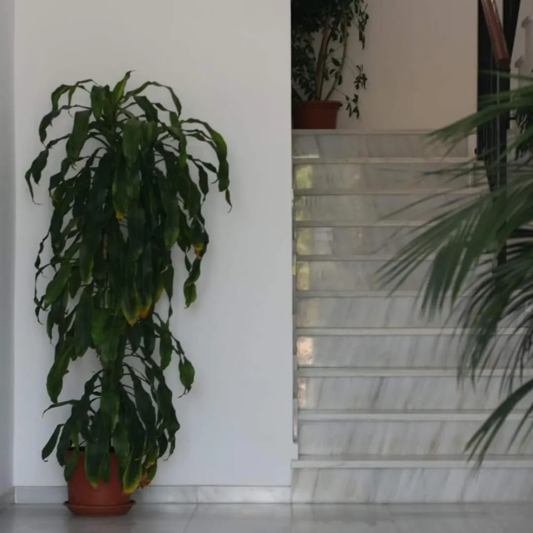 Apartamento Conil - Casa Pilar Conil De La Frontera Apartment